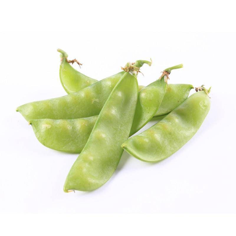 Peas, Oregon Sugar Pod garden seeds