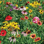 Low Maintenance Wildflower Mix seed packet