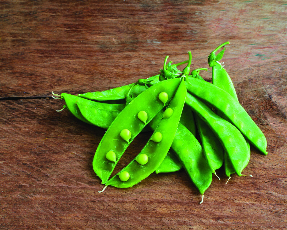 Hap-Pea Birthday seed packet