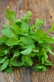 Mint-Peppermint Mint is awesome! There's nothing quite like the fresh scent right from the plant or the snazzy little touch of adding it to drinks and dishes. Be fancy and refreshing with mint! Bentley Seed