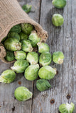 Brussel Sprouts - Long Island Improved Seed - Bentley Seeds