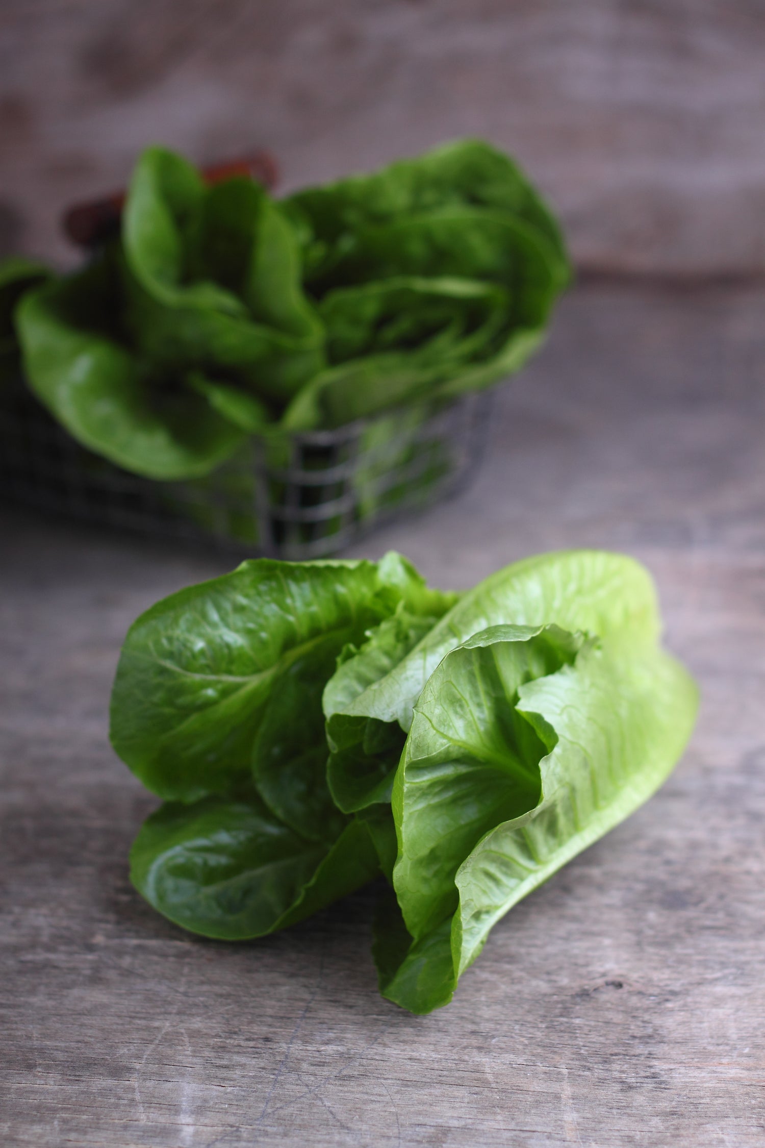 Romaine lettuce on rustic wooden table.