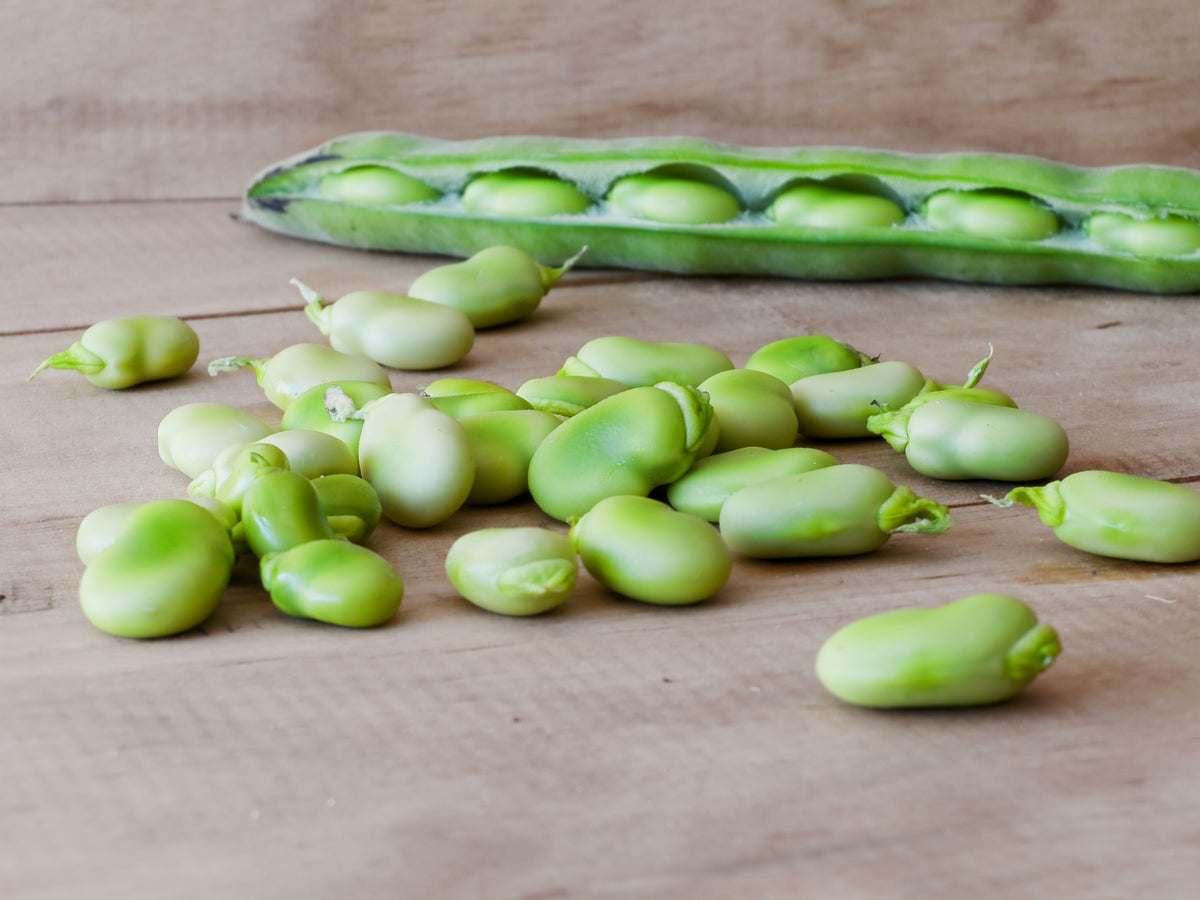 Fresh lima beans on a rustic wooden table.