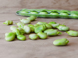 Bean - Henderson's Lima Bean Seed - Bentley Seeds