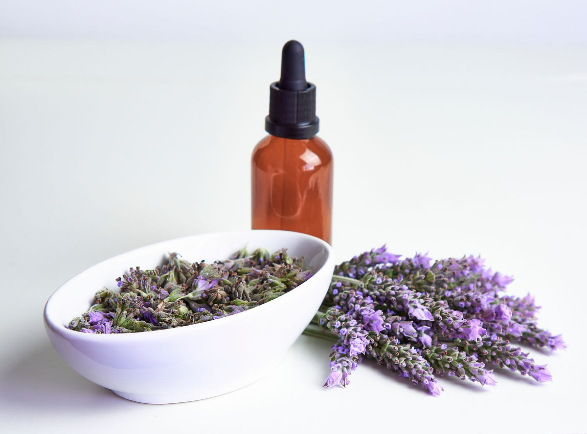 Lavender Seed Packets seed packet