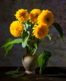Dwarf Sungold Sunflower Helianthus annuus. Vase of Dwarf Sunflowers. Bentley Seeds.