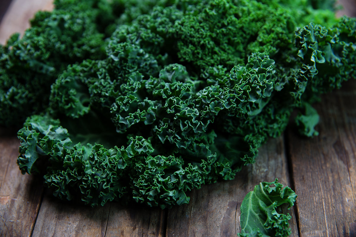Kale, Dwarf Siberian Seed Packets flower seeds