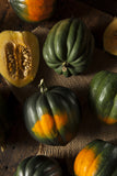 Table Queen Acorn Squash This variety produces lots of tasty fruit! Because it keeps so well you will be enjoying the sweet, excellent flavor throughout the winter months! Bentley Seed