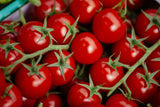 Sweetie Cherry Tomato Firm, round and super sweet-everything a cherry tomato should be! A great choice for every tomato lovers garden. Produces a small 1-1.5 inch fruit. Bentley Seeds.