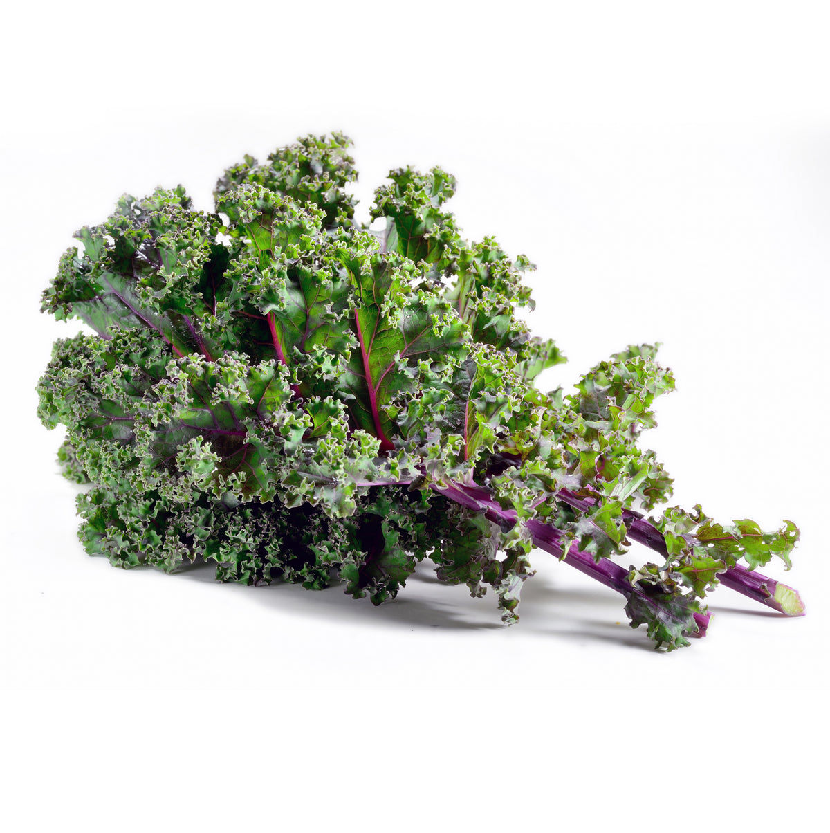 Kale, Red Russian flower seeds