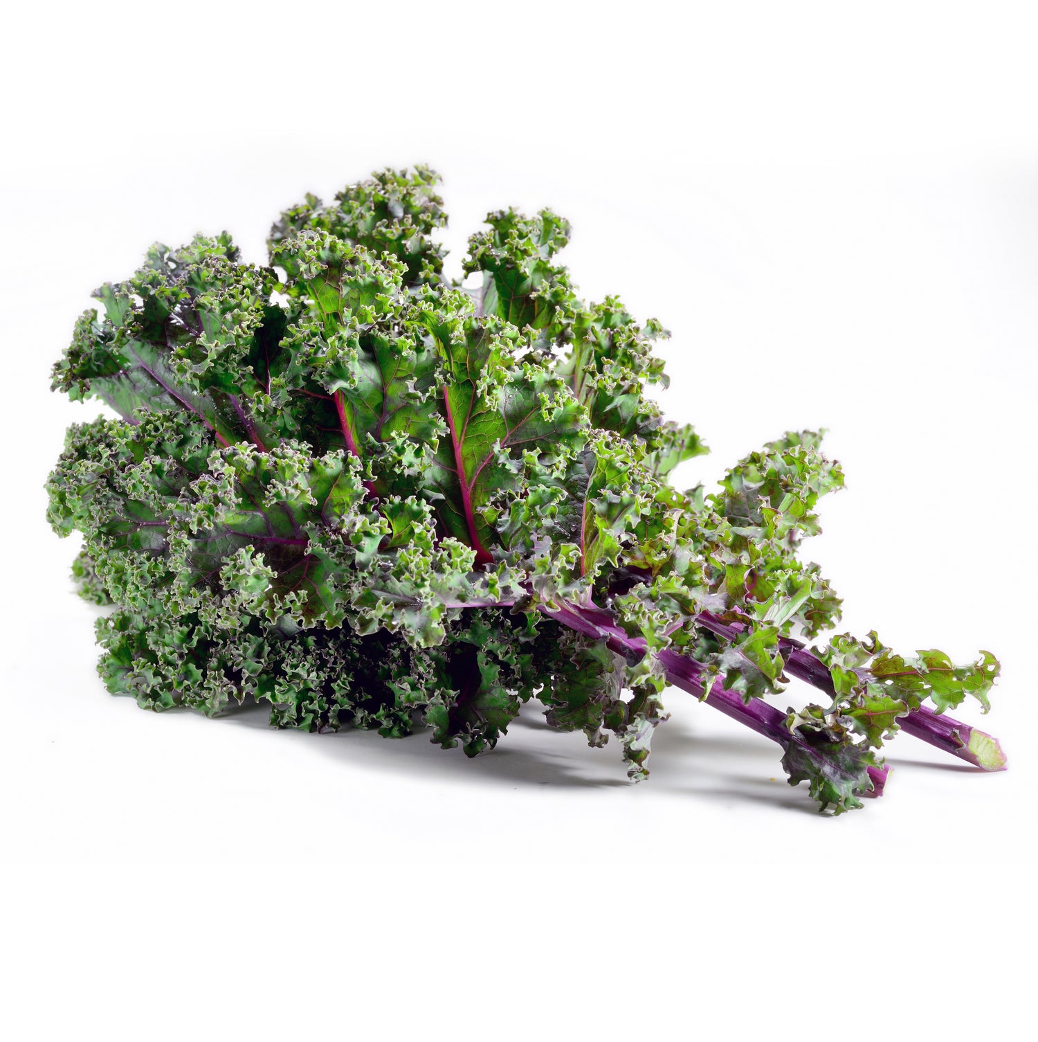 Kale, Red Russian flower seeds