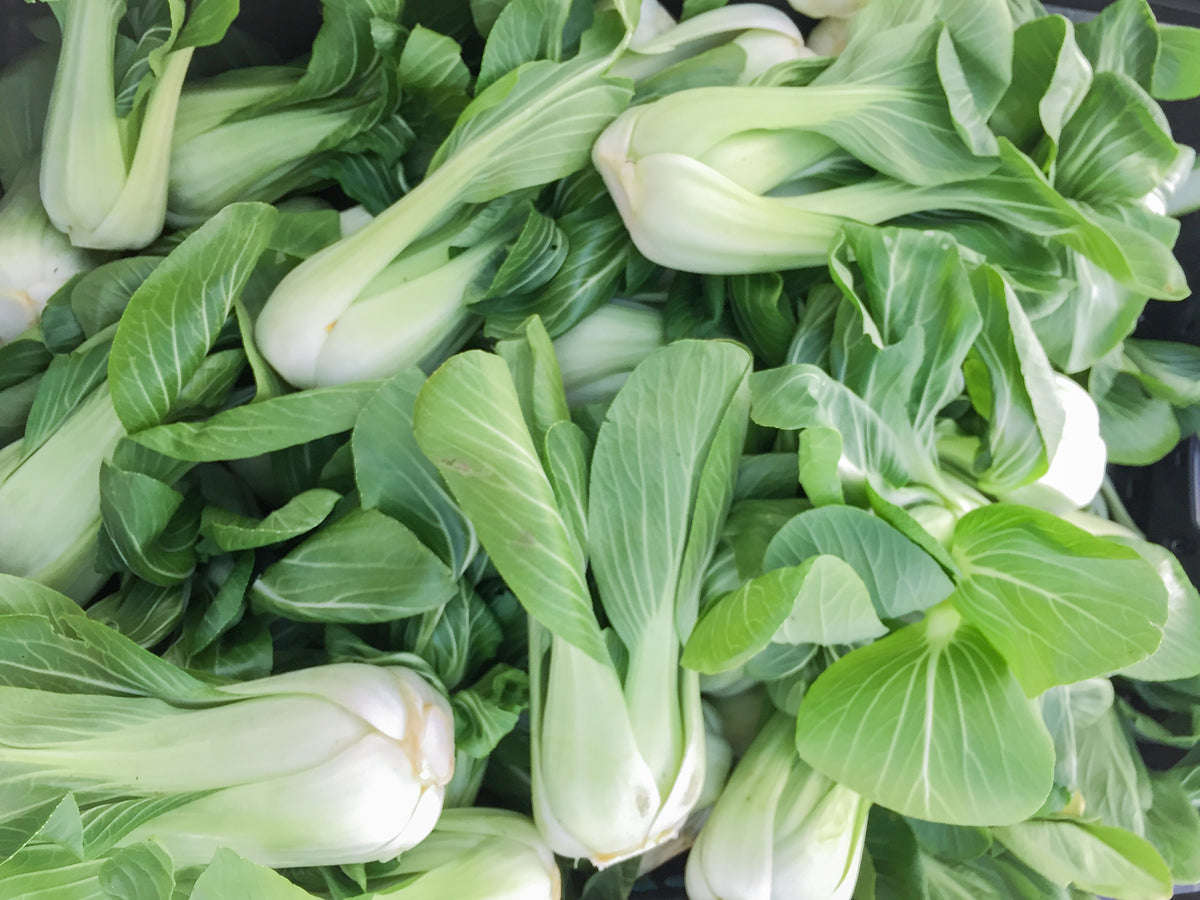 Cabbage, Pak Choi Seed Packets seed packet