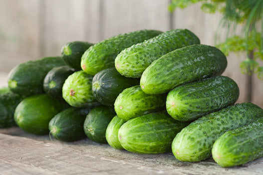 How to Grow Cucumbers