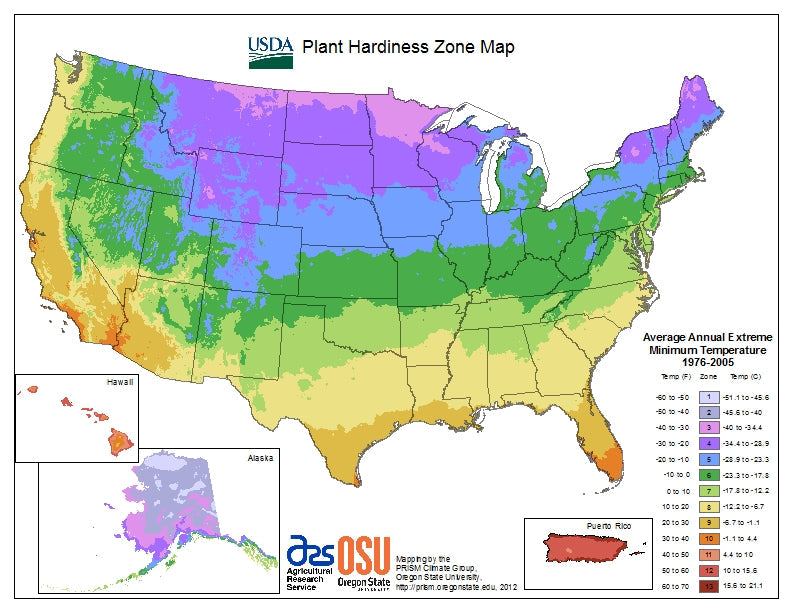 Gardening Zones in the US: A Guide to Growing in Your Climate