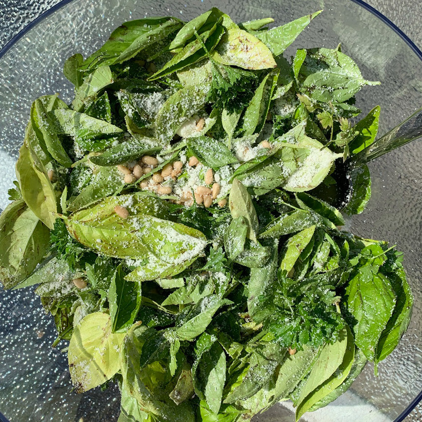 Nina's Garden Fresh Pesto
