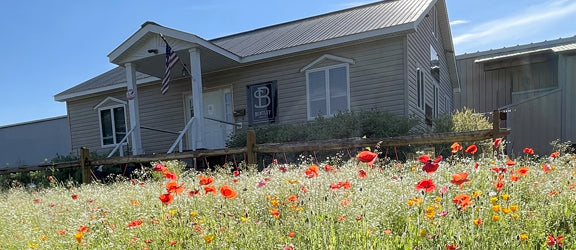 The History of Bentley Seed and Seed Packets in Cambridge, NY