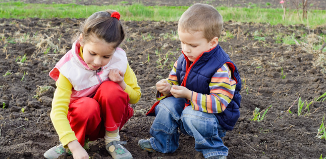 Best Seeds for Early-Spring Planting in the Northeast