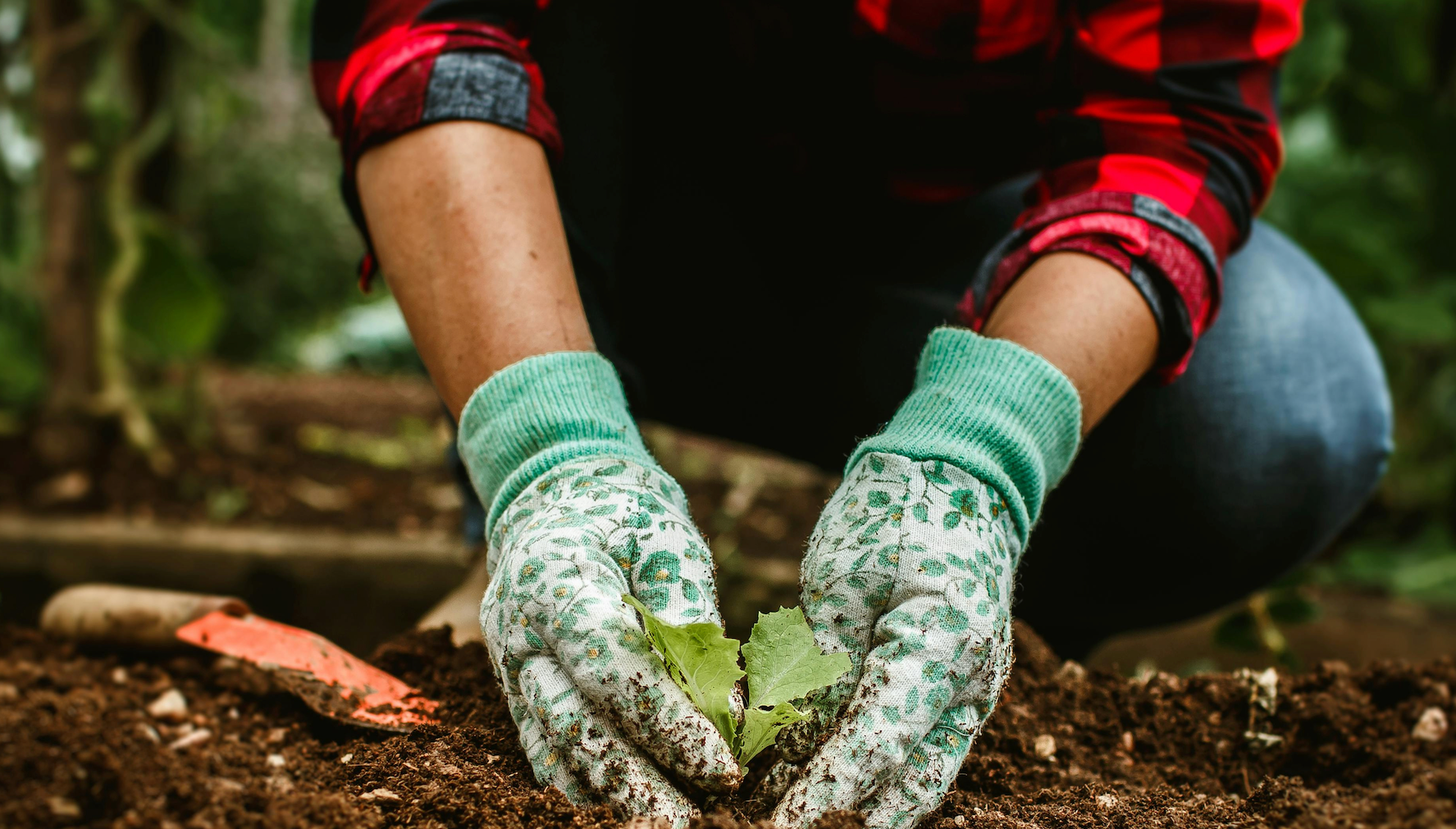 Vegetables to Plant in October | Fall Planting Guide for U.S. Gardeners