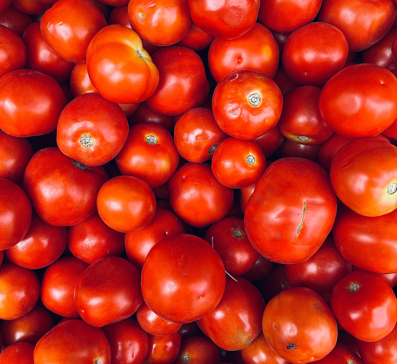 6 Ways to Use Up Your August Tomato Harvest