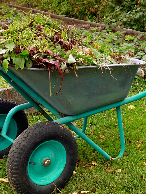 Winter Outlook: What Should Gardeners do to Prepare and Closing Gardens