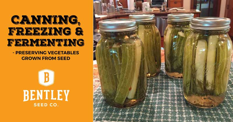 Canning, Freezing & Fermenting: Preserving Vegetables Grown from Seed
