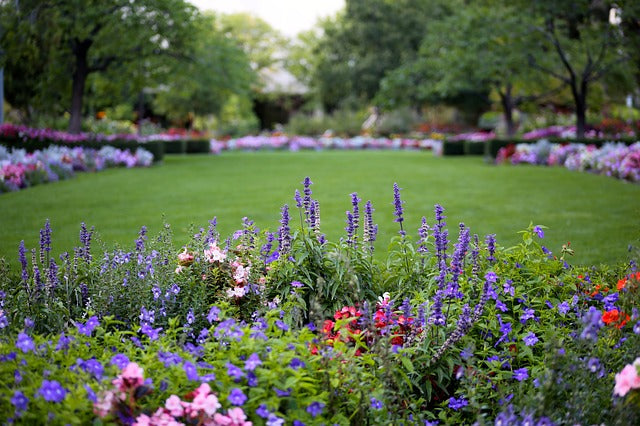 Summer Flower & Vegetable Gardens: Expert Tips for Mid-Season Maintenance