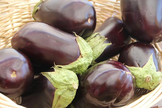 How to Grow Eggplants