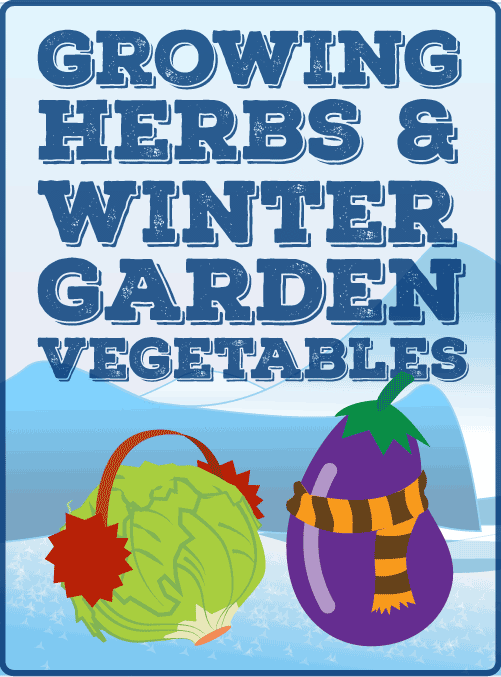 Growing Herbs and Winter Garden Vegetables