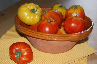 Heirloom Seeds and Their Historical Significance