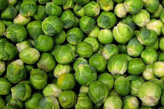 How to Grow Brussel Sprouts