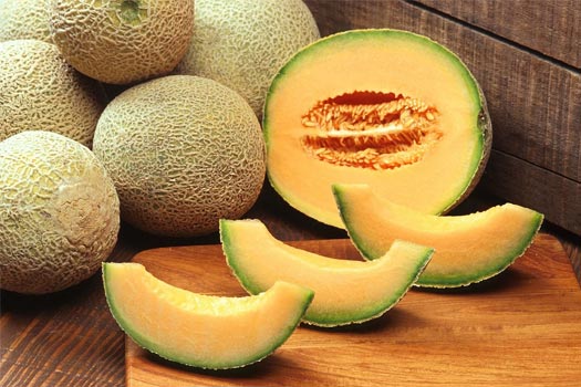 How to Grow Cantaloupe