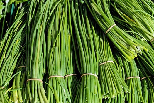 How to Grow Chives