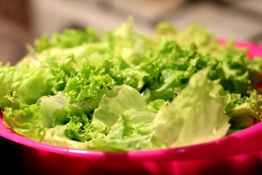 How to Grow Lettuce