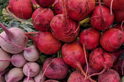 How to Grow Radishes