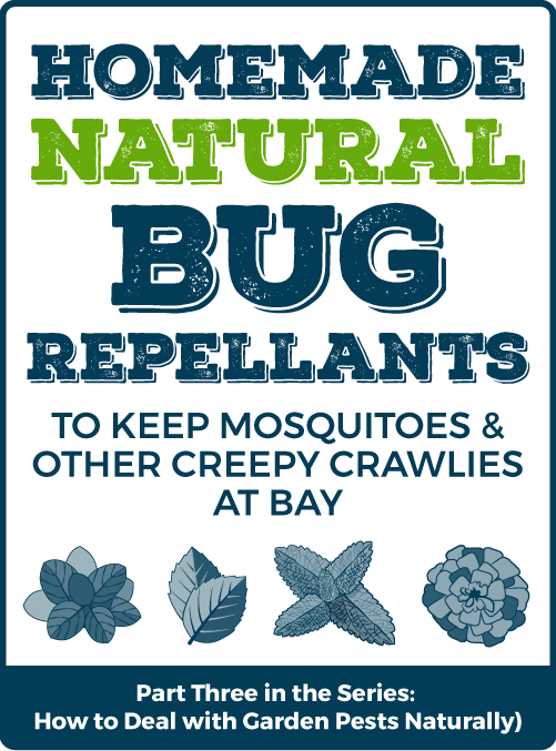 Homemade Natural Bug Repellents to keep Mosquitoes and other Creepy Crawlies at Bay - Part Three of a Series
