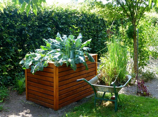 Gardening for Beginners