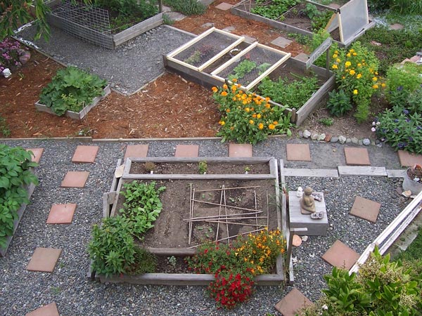 Container Gardening