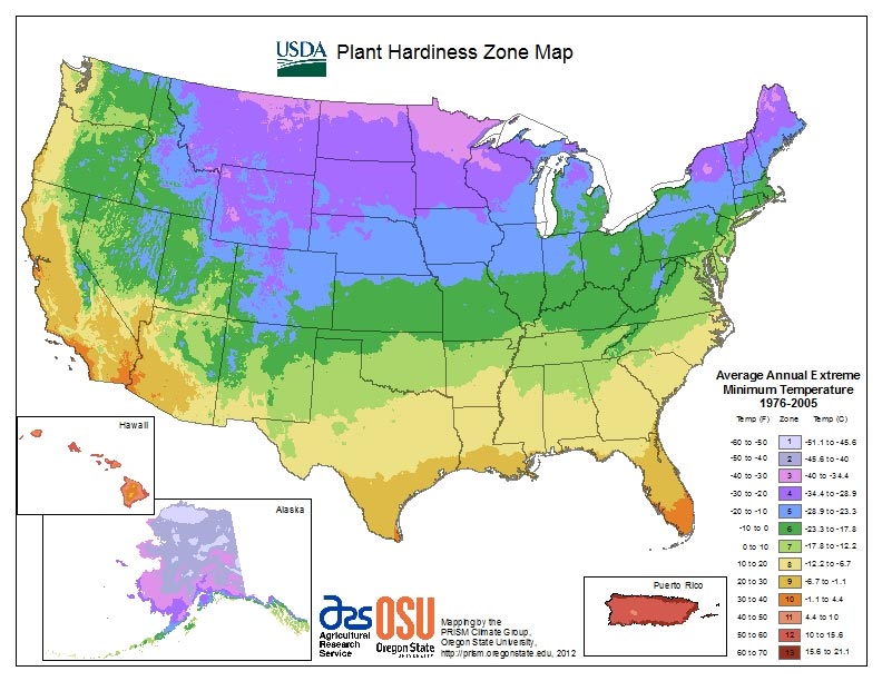 Developing a Plan for Succession Planting