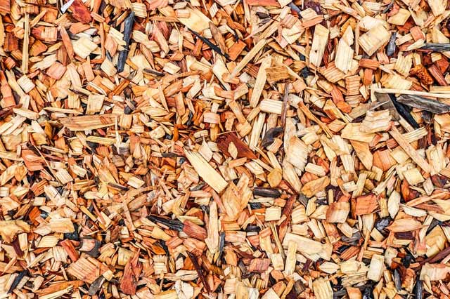 What is Mulch? (And Answers to Other Common Garden Mulch Questions)