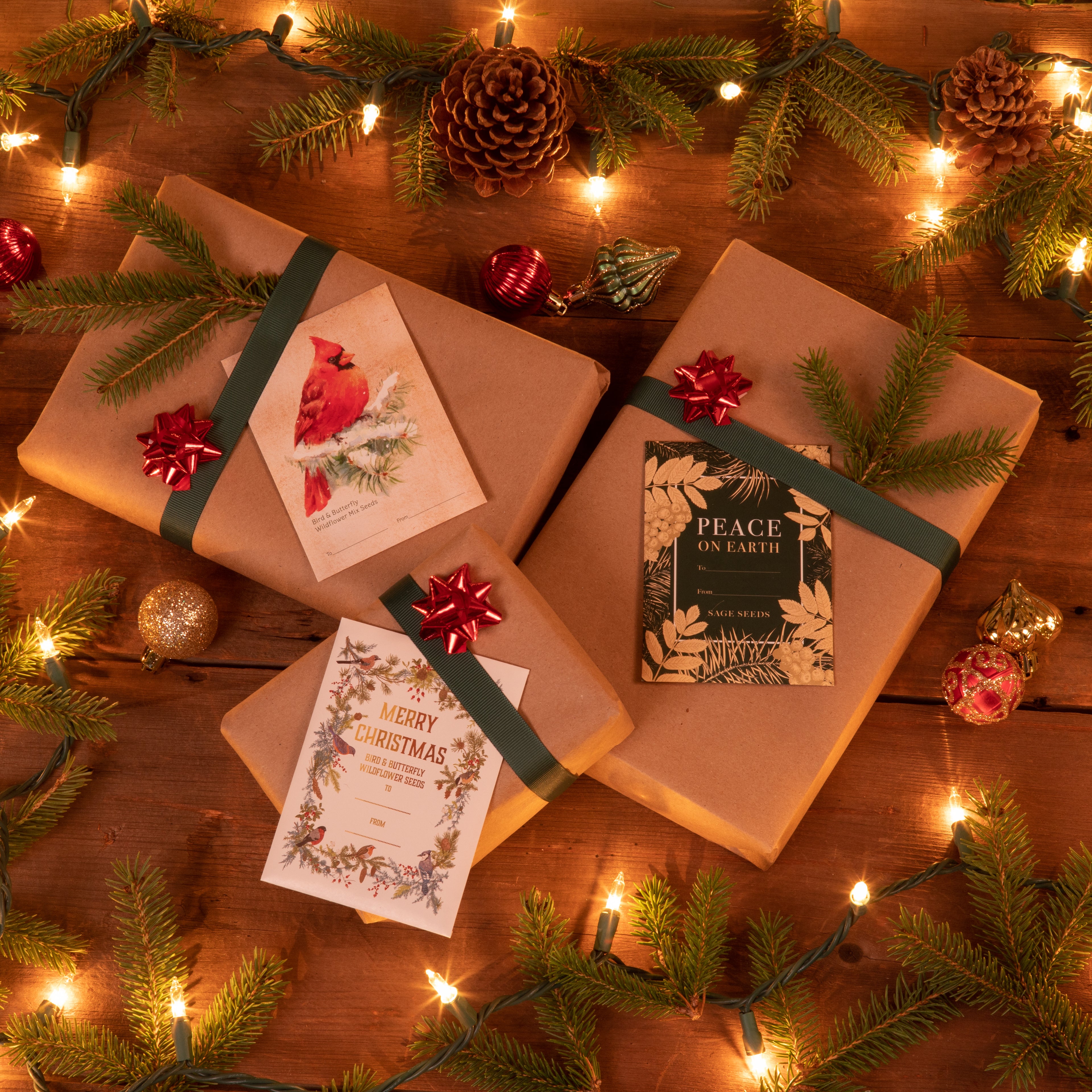 Holiday and Christmas Gift Tag Seed Packets and Gifts