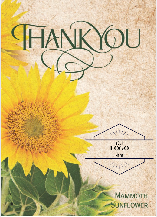 Personalized & Custom