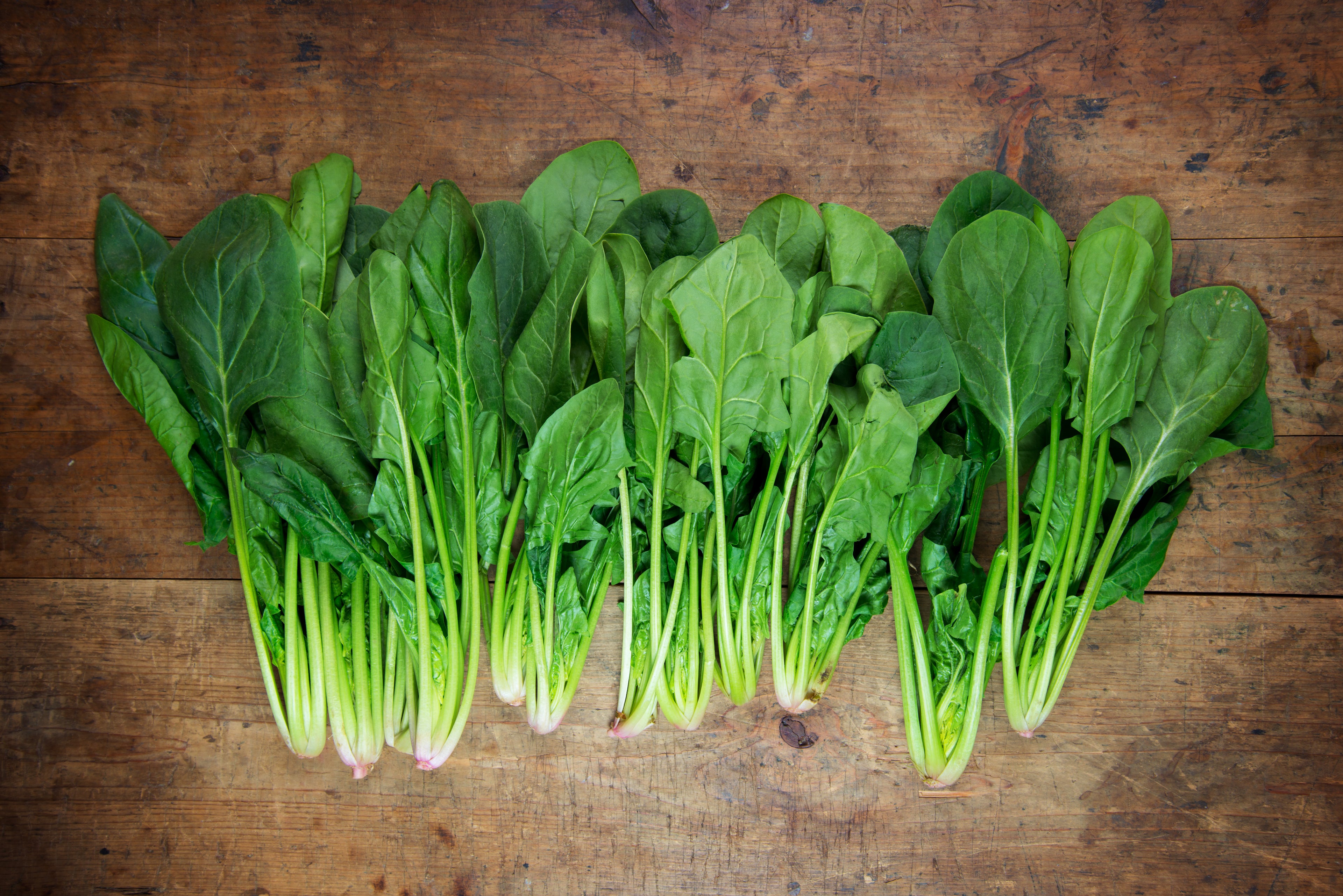 Cold Crop Seed Packets