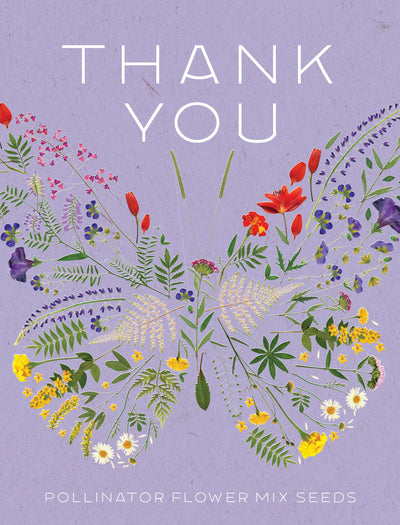Thank You Butterfly Pollinator flower seeds