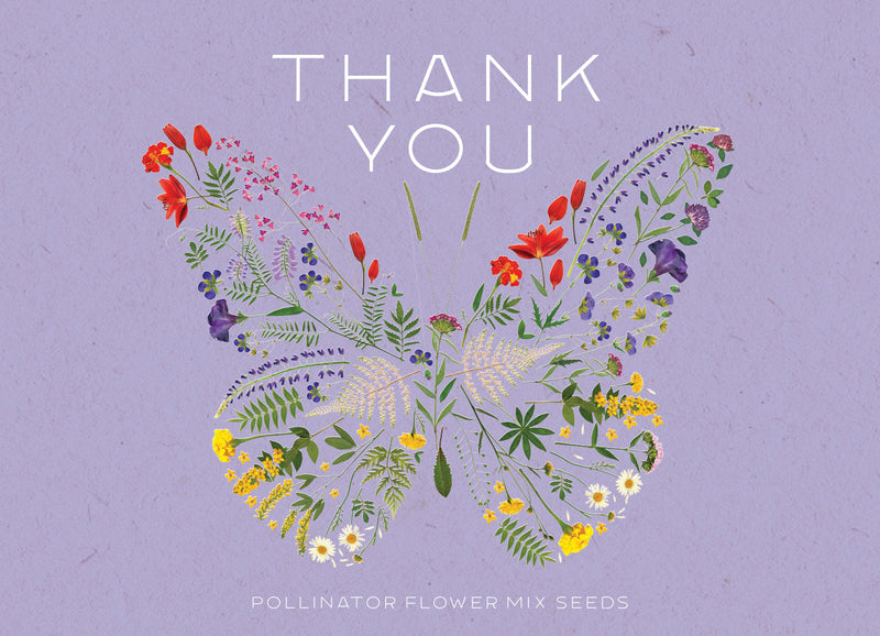 Thank You Butterfly Pollinator - Pollinator Flower Mix Seed Packets