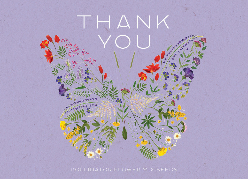Thank You Butterfly Pollinator - Pollinator Flower Mix Seed Packets - Bentley Seeds
