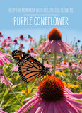 Help the Monarch Butterfly - Coneflower Packets - Bentley Seeds
