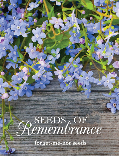 Seeds of Remembrance Memorial garden seeds