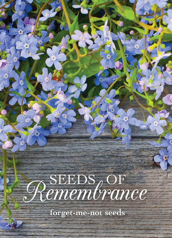 "Seeds of Remembrance - Memorial" Forget Me Not Seed Favor - Bentley Seeds