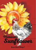 "Chicken" Mammoth Sunflower Seed Packet in Red - Bentley Seeds