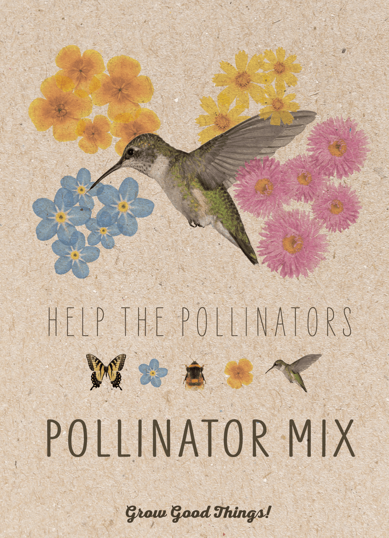 Pollinator Hummingbird - Wildflower Mix Seed Packets